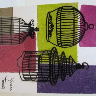 color blocking birdcages by Lynda
