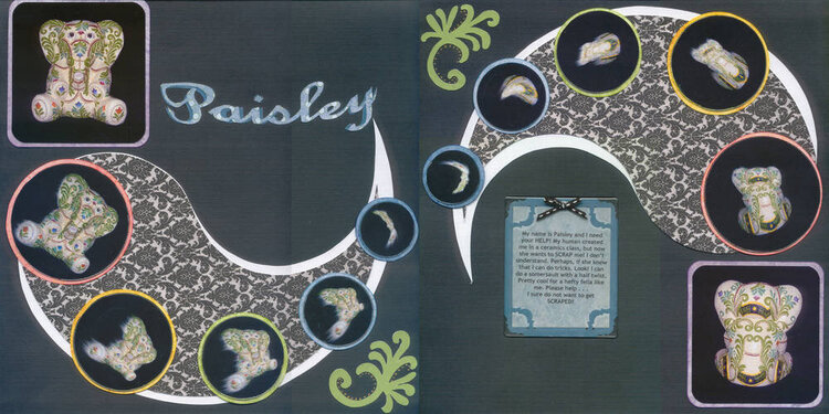Entry #3 - Paisley