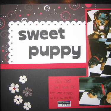 Sweet Puppy- Left (final)