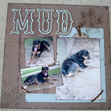 MUD