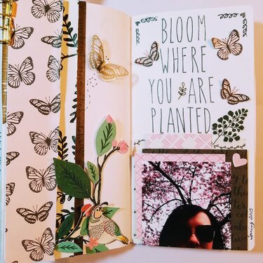 Bloom where you are planted