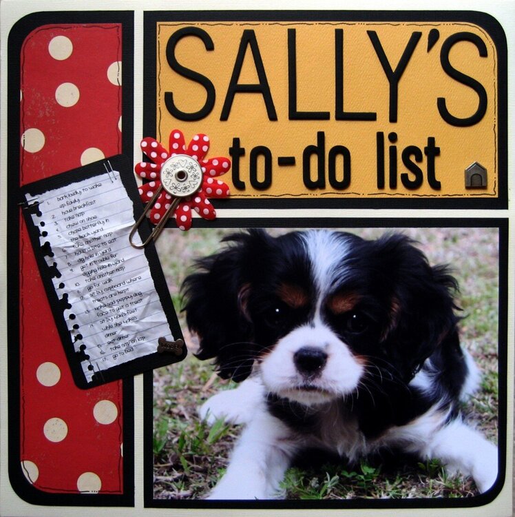 Sally&#039;s to-do list