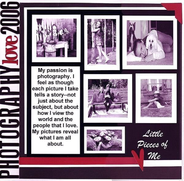 Photography love 2006 (Little Pieces of Me)