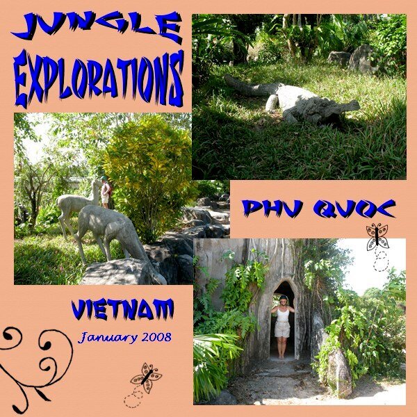 Jungle Explorations