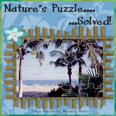 Nature&#039;s Puzzle...Solved!