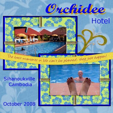 Orchidee...Cambodia
