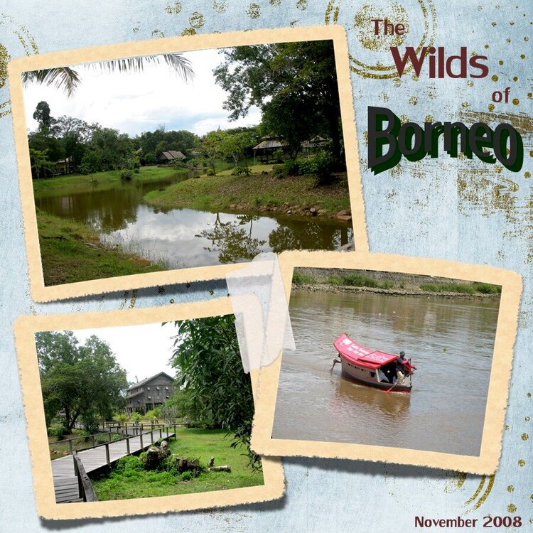 The Wilds of Borneo