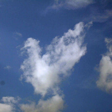 19. A cloud that resembles something (please put what you think it looks li