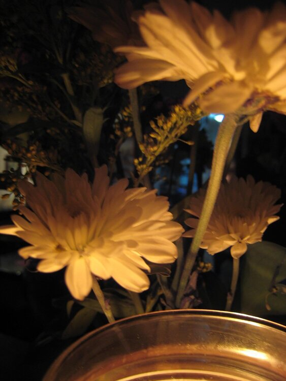 March 7 - Flowers by candle light