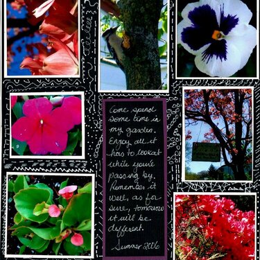 Garden - page 1