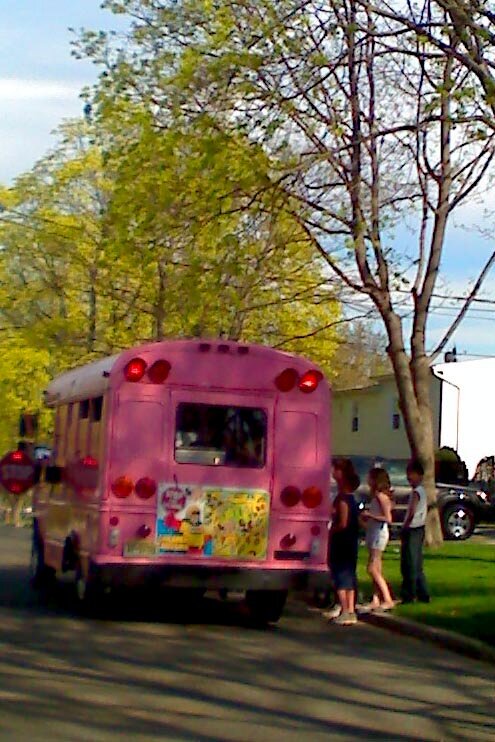 Recycled Pink Bus