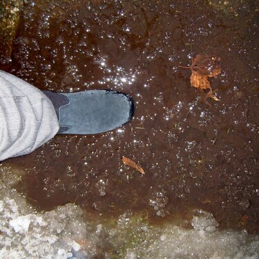 February 14 - The Puddle That Ate My Foot