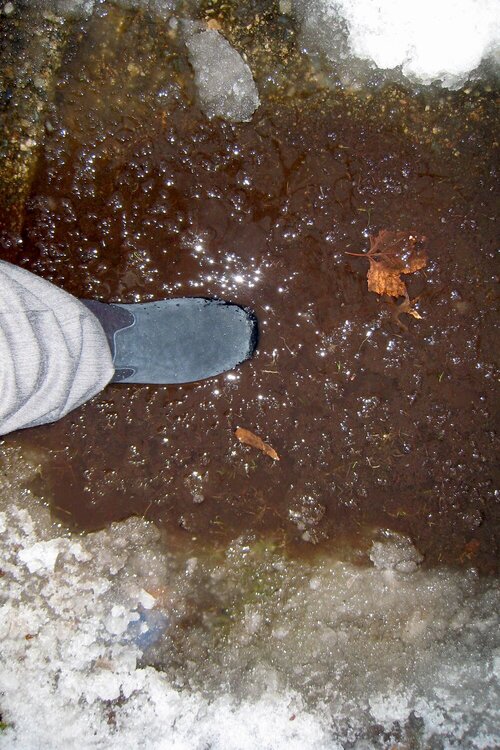 February 14 - The Puddle That Ate My Foot