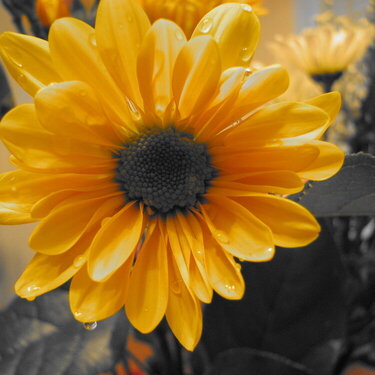 Color accent yellow
