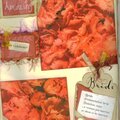 D &amp; J wedding scrapbook