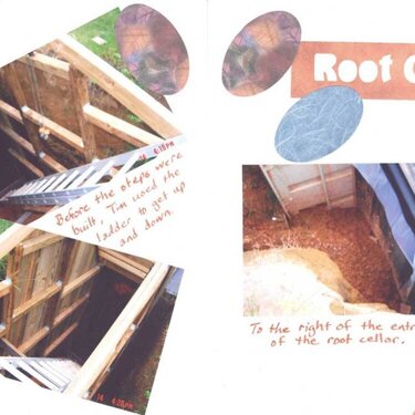 Root Cellar -2