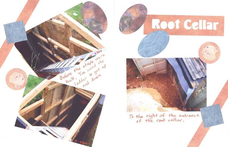 Root Cellar -2