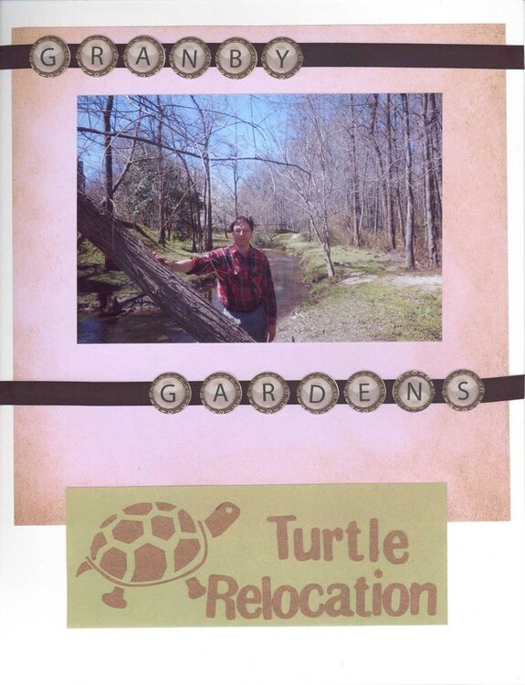 Turtle Relocation 1