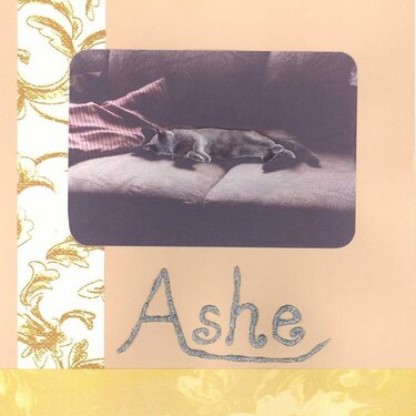 20050600-3 Ashe