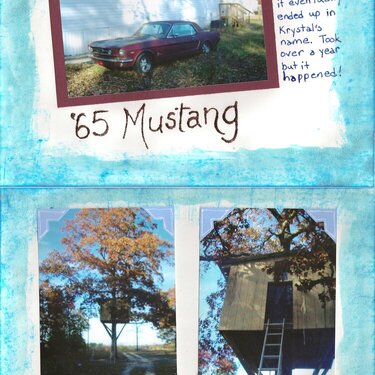 The Mustang and The Tree house