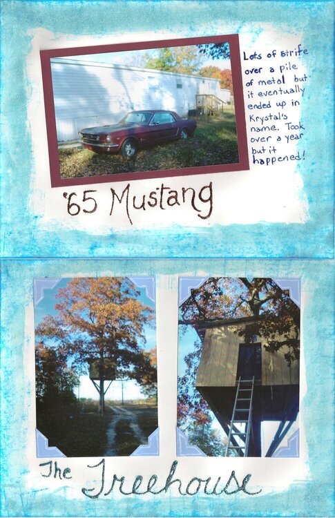 The Mustang and The Tree house