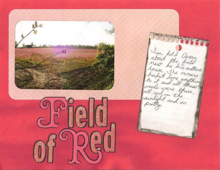 Field of Red