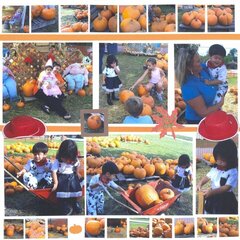 Pumpkin Patch 3