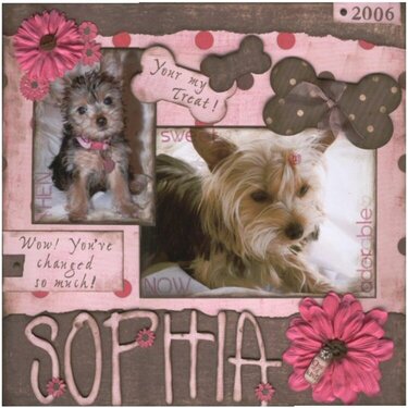 Sophia Now &amp;amp; Then