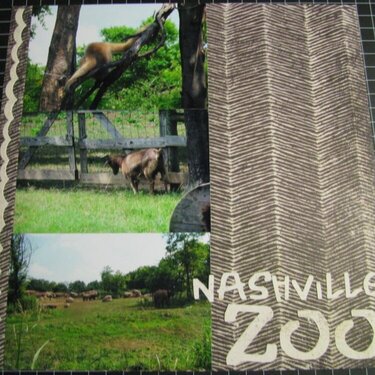 Nashville Zoo