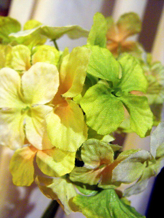 2009-3/4#15. Flower Dyed Green for St. Patrick&#039;s Day (6 pts)