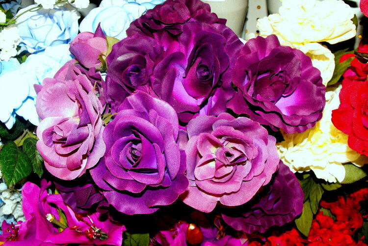 2009-1#18. Purple Rose (9 pts)