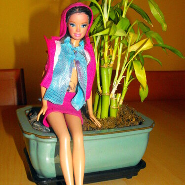 #3. A Barbie (9 pts)