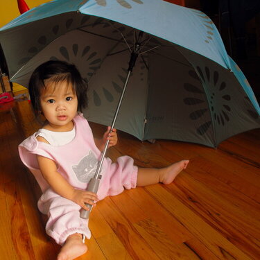2009-3/4#4. An Umbrella (8 pts)