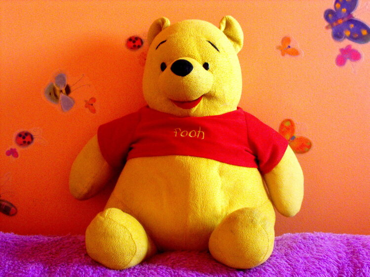 2009-1#4. Winnie the Pooh (7 pts)