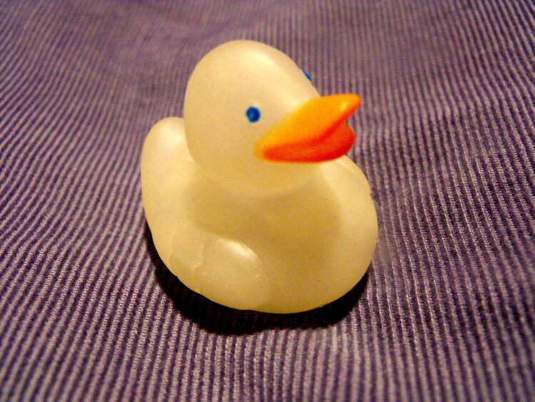 2009-1#7. Rubber Duck (6 pts)