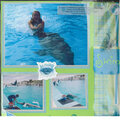 dolphin swim 2