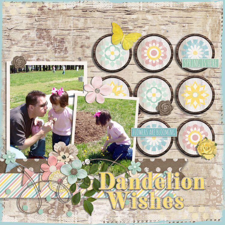 dandelion wishes