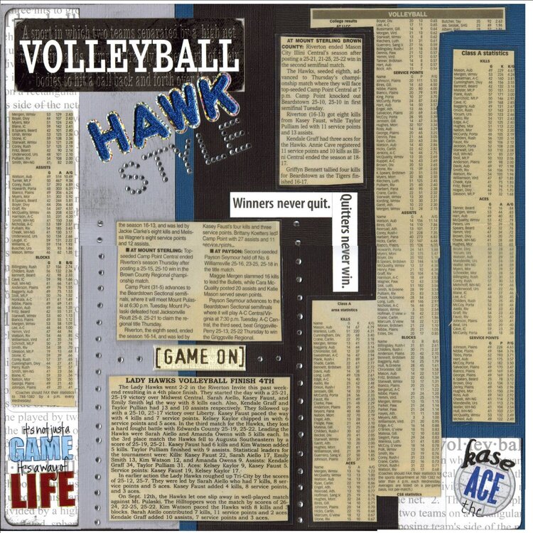 Volleyball Hawk-style
