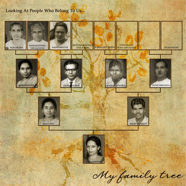 My family tree