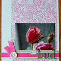 Rose Bud **Boxer Scrapbook**