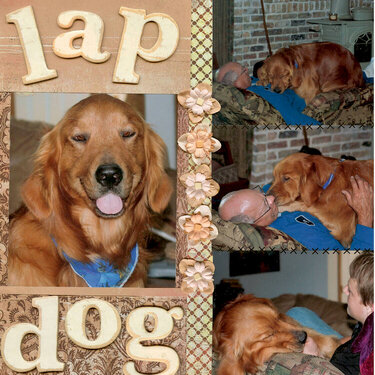 Lap Dog
