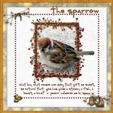 The Sparrow