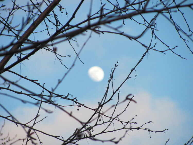 The moon during the day