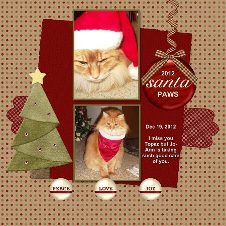 2012 Santa Paws - missing my Topaz