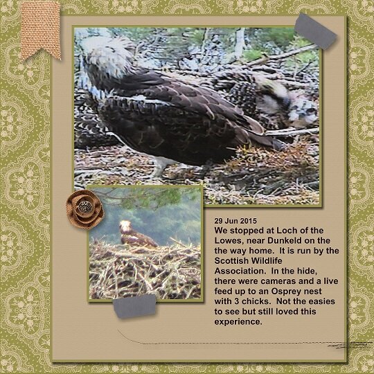 2015, Osprey nest at Loch of the Lowes