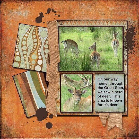 2015 - Deer of the Great Glen