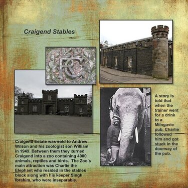 2015, Craigend Castle stables