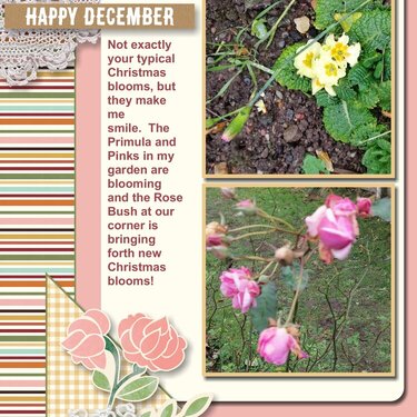 2021 Christmas Blooms