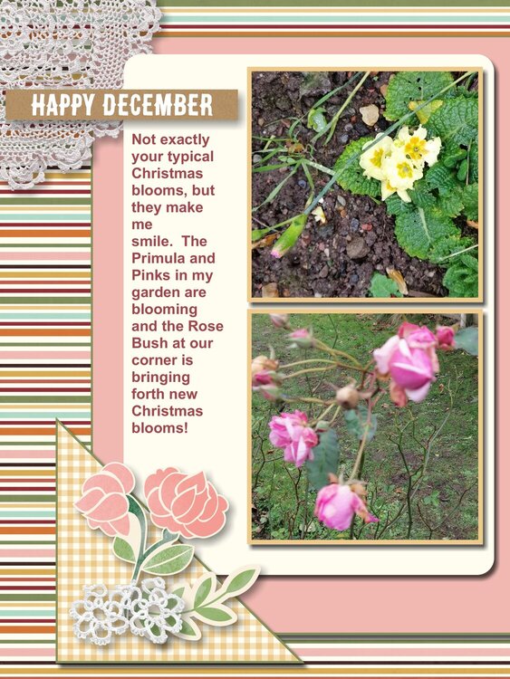 2021 Christmas Blooms