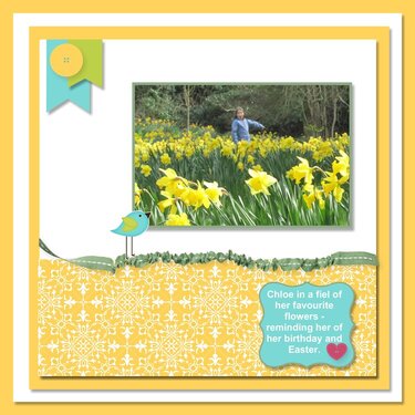 2014, Scotland, Chloe and her Daffodils